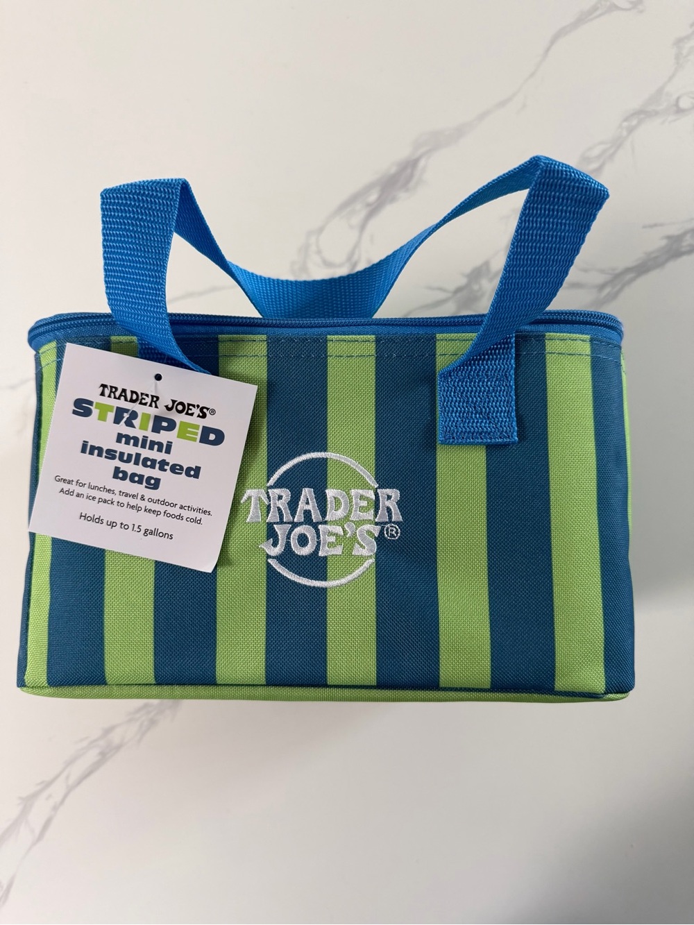Trader Joe's Blue & Green Striped Mini Insulated Bag